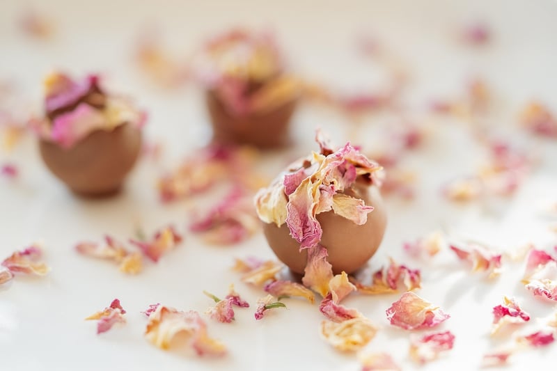 Indulge in Artisanal Chocolates