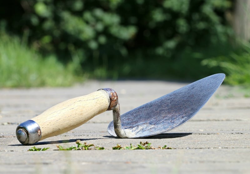 Master Knife Skills