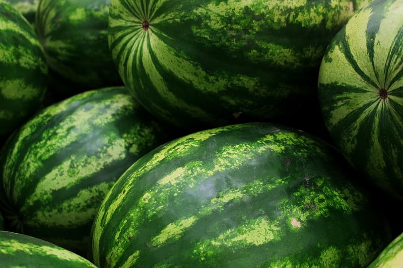 Watermelon Sorbet